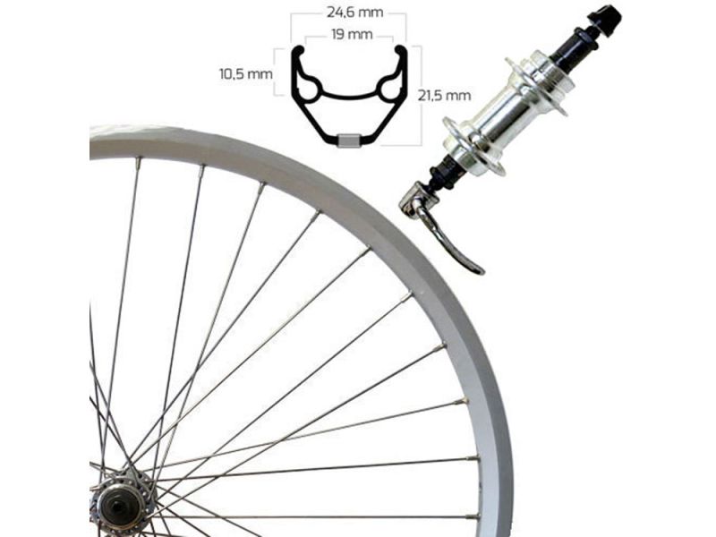 Roland ZAC 2000 Hinterrad (26“ | Alunabe | FW7-SSP | silber)