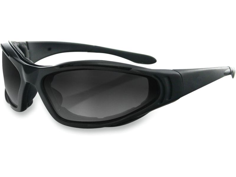 Bobster Raptor II Sonnenbrille (schwarz)