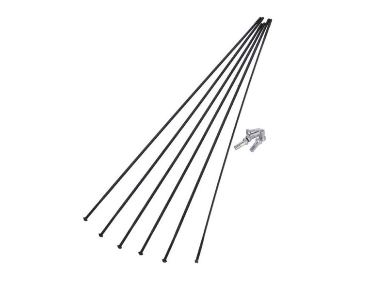 DT Swiss Speichenkit für ARC1400 Dicut 62