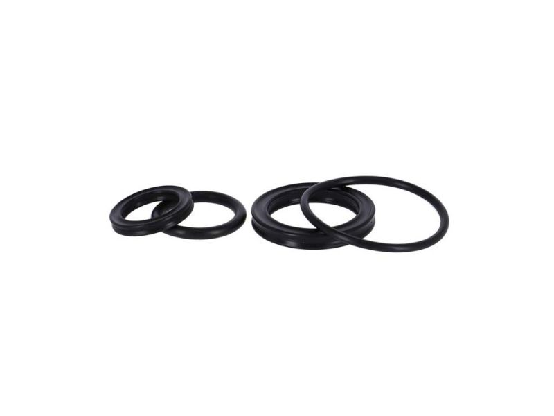 SR Suntour Öldichtungssatz (RS16-17 Duair)
