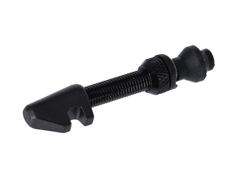 DT Swiss Tubeless Ventil (18-25mm | für asym. Felgen | schwarz)