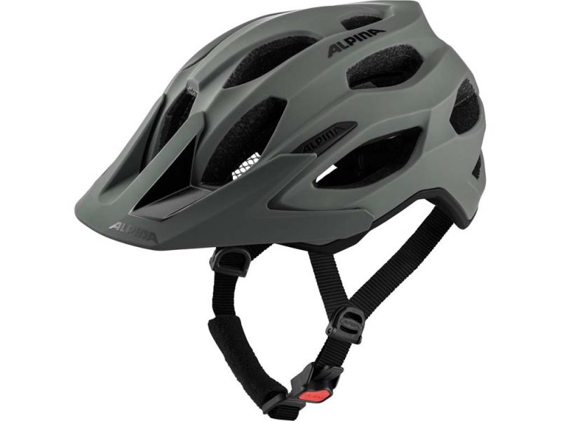 Alpina Carapax 2.0 Fahrradhelm (grau)