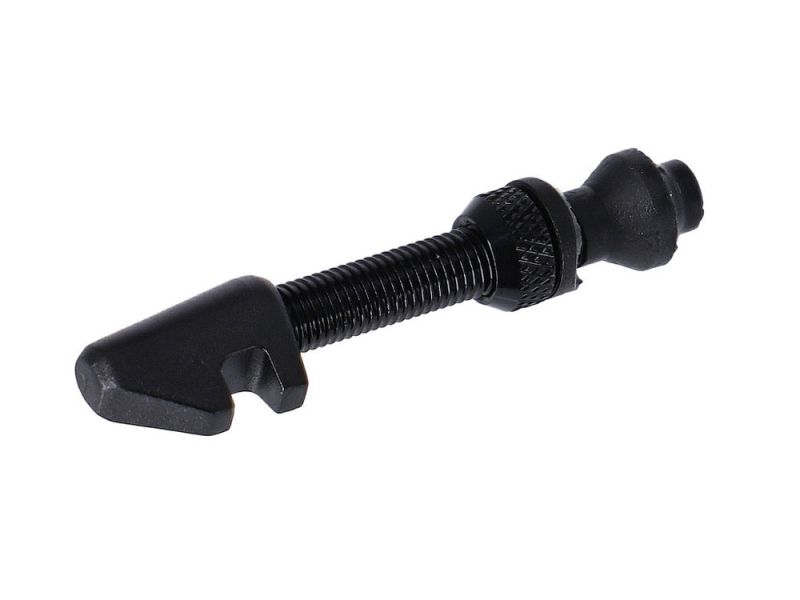 DT Swiss Tubeless Cyl Nut Ventil (18-25mm | schwarz)