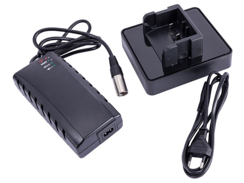 Panasonic Rapid Charger fast charger