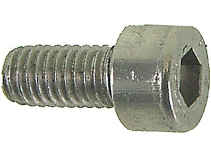Bofix Allen screw (M5x30 | silver)